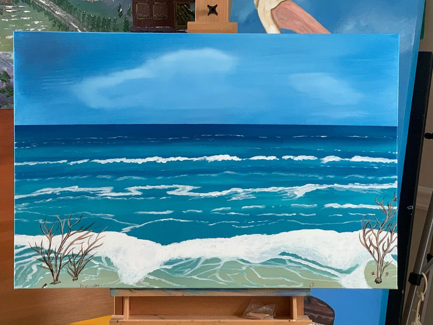 Artist Ann Webster