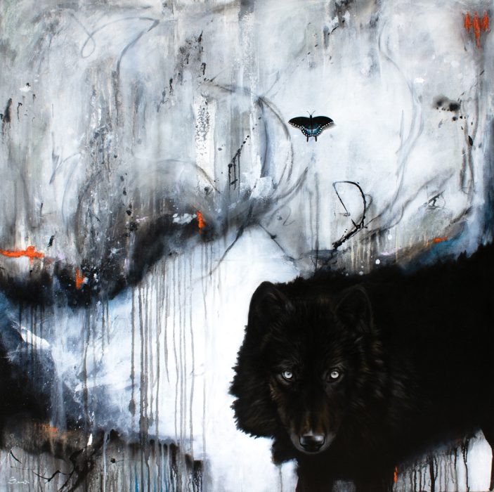 Black wolf with white eyes gazing upward, with black butterfly and sketched butterflies floating above in abstract grey an…