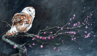 Barn owl perched on gnarled branch with pink blossoms against dark background, painted artwork
